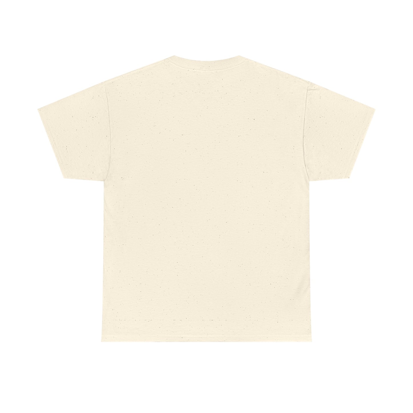 T-Shirt — "The Truth: The Way, The Life" Minimalist Faith Graphic Tee